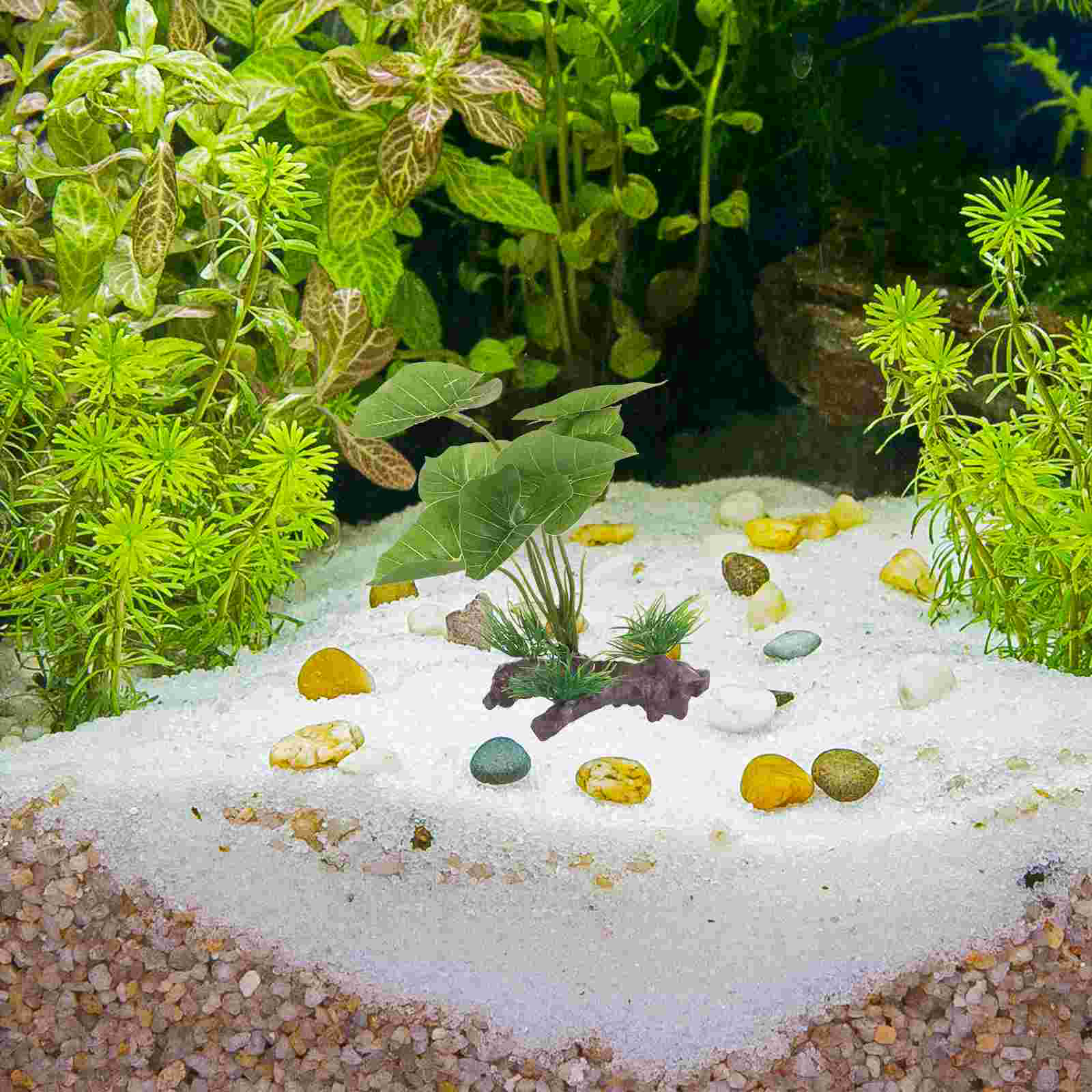 Fish Tank Artificial Water Pla - Terrarium Moss Art 评论和价格