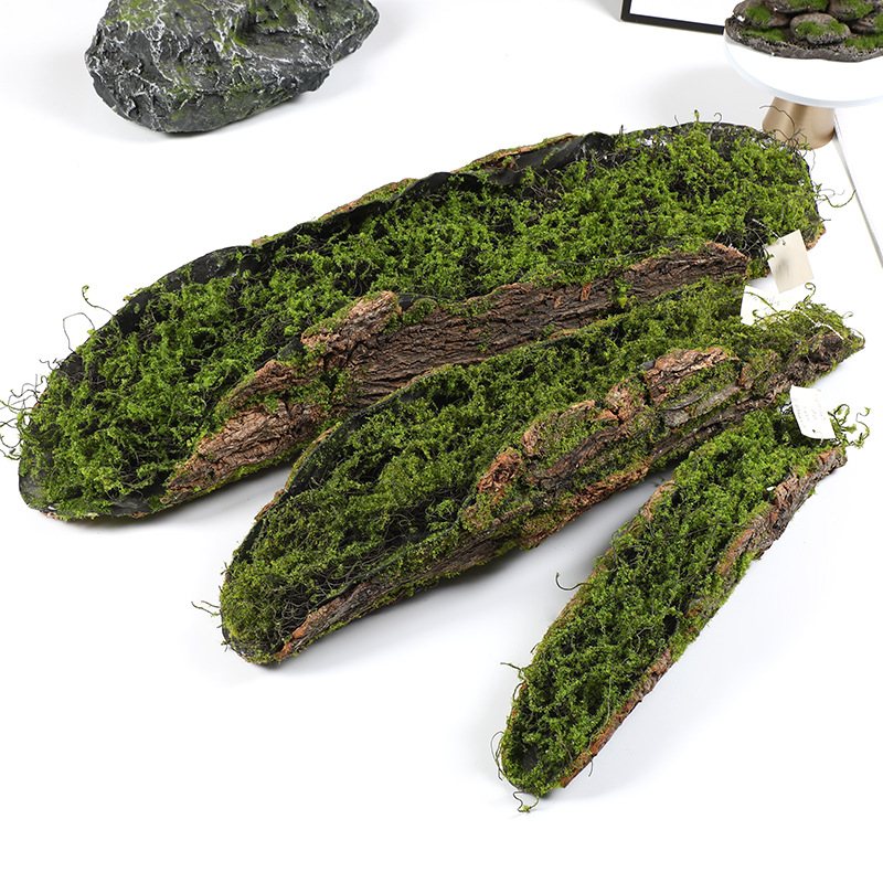 Creative Bark Moss Moss Artifi - Terrarium Moss Art 评论和价格