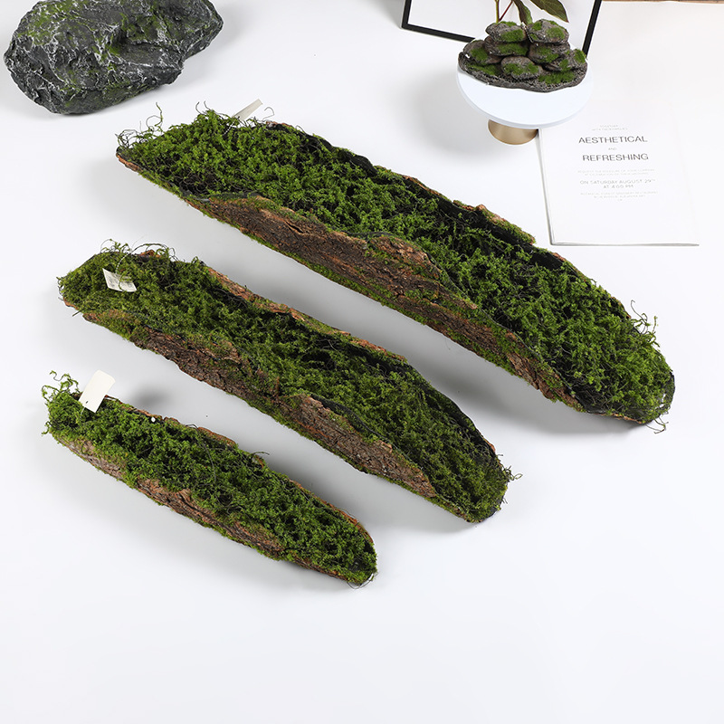 Creative Bark Moss Moss Artifi - Terrarium Moss Art 评论和价格