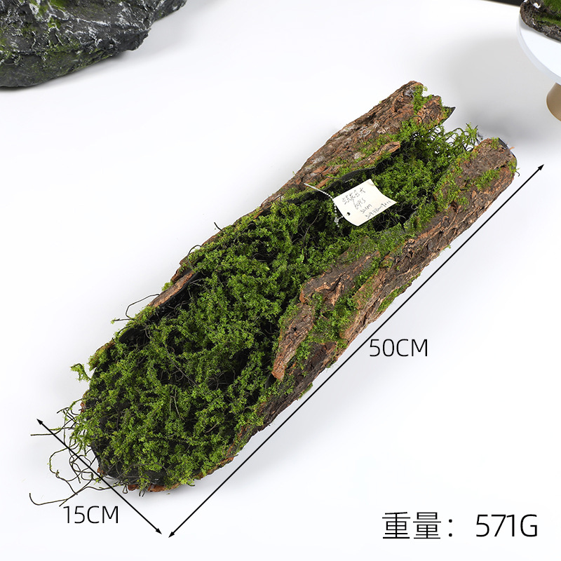 Creative Bark Moss Moss Artifi - Terrarium Moss Art 评论和价格