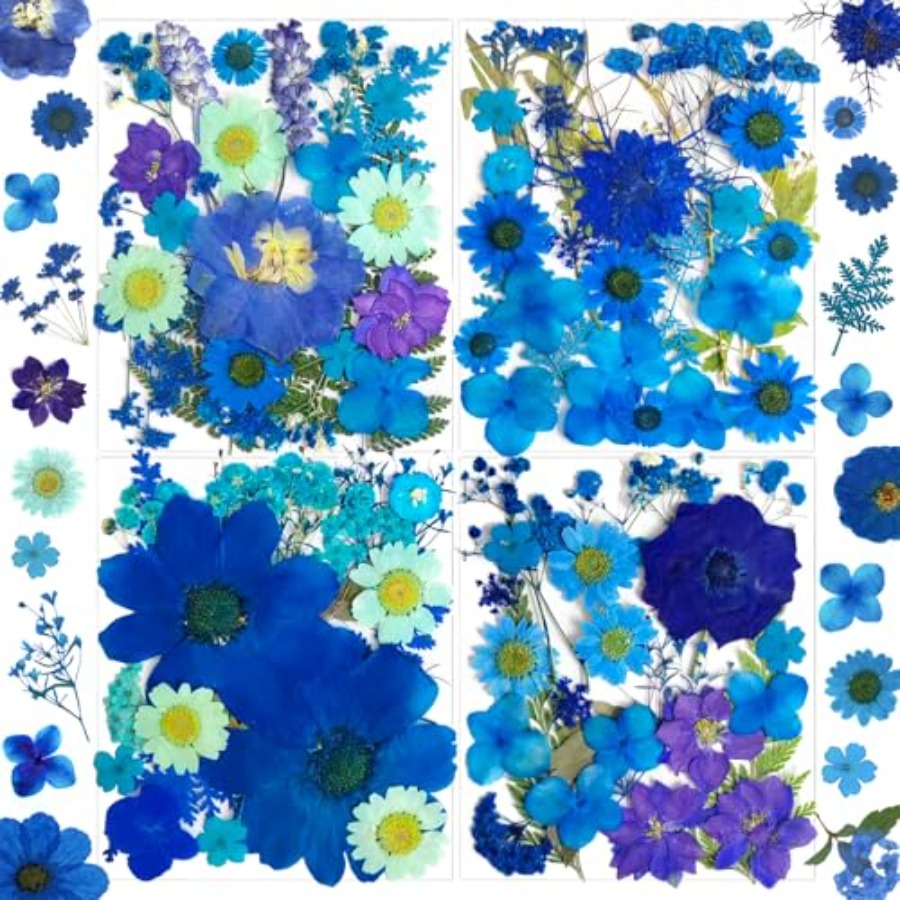 94Pcs Dried Pressed Flowers fo - Dried Flower Bulk 评论和价格