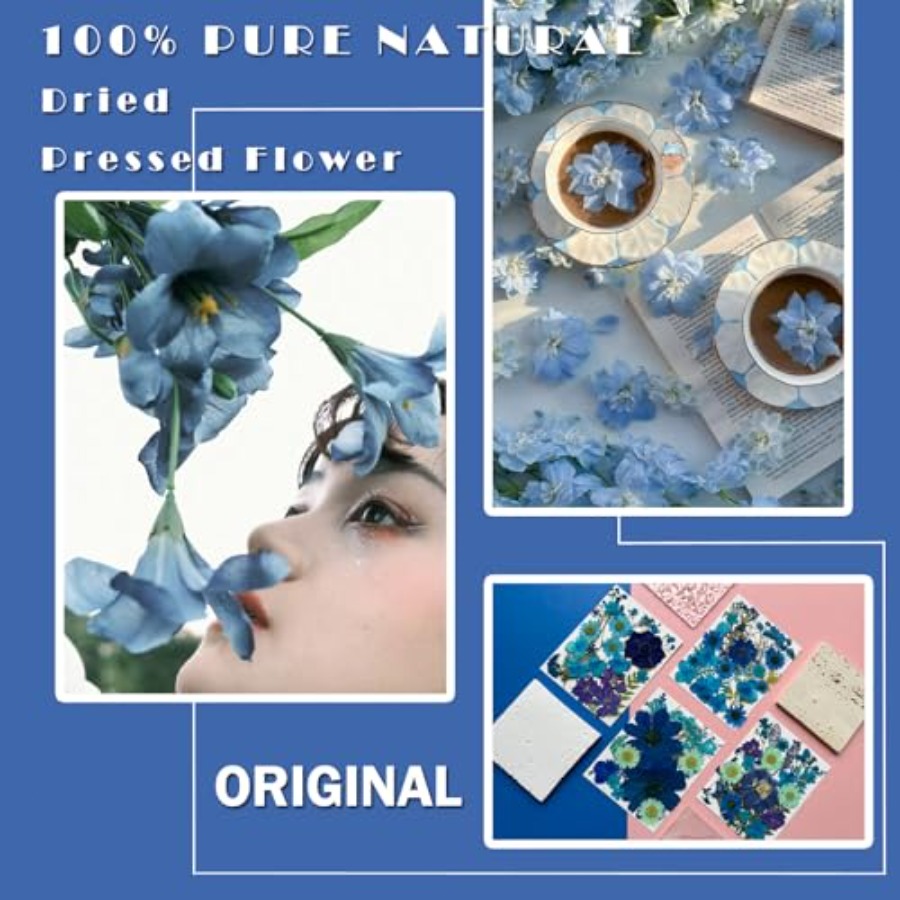 94Pcs Dried Pressed Flowers fo - Dried Flower Bulk 评论和价格