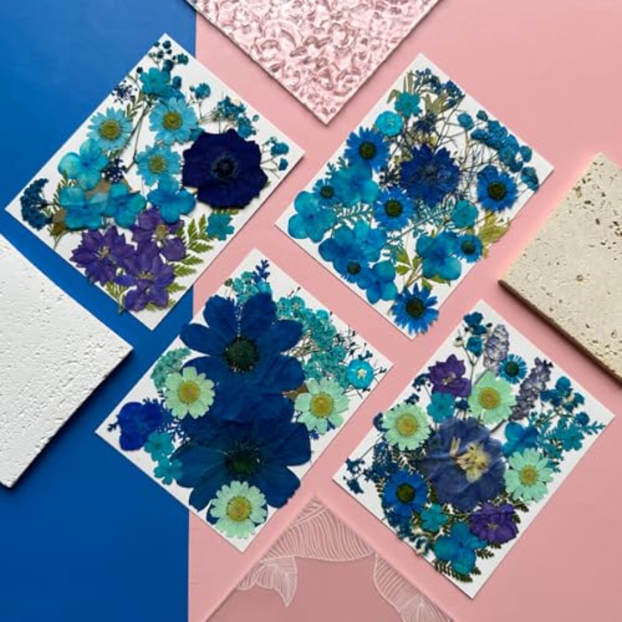 94Pcs Dried Pressed Flowers fo - Dried Flower Bulk 评论和价格
