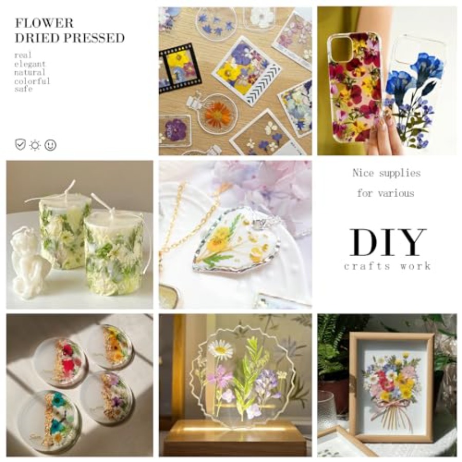94Pcs Dried Pressed Flowers fo - Dried Flower Bulk 评论和价格