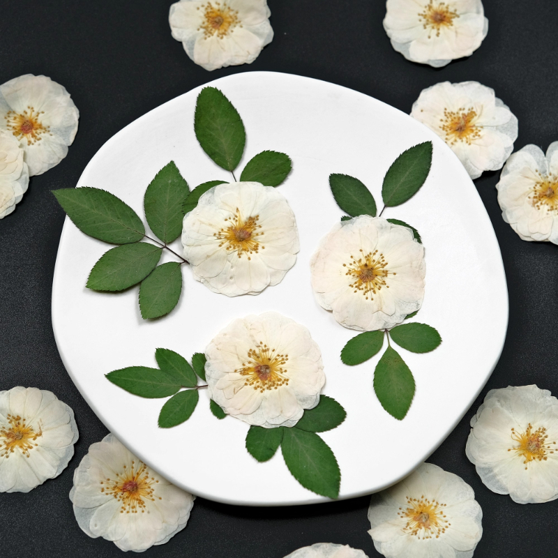 6pcs,9pcs,Nature White Rose Pr - Dried Flower Bulk 评论和价格