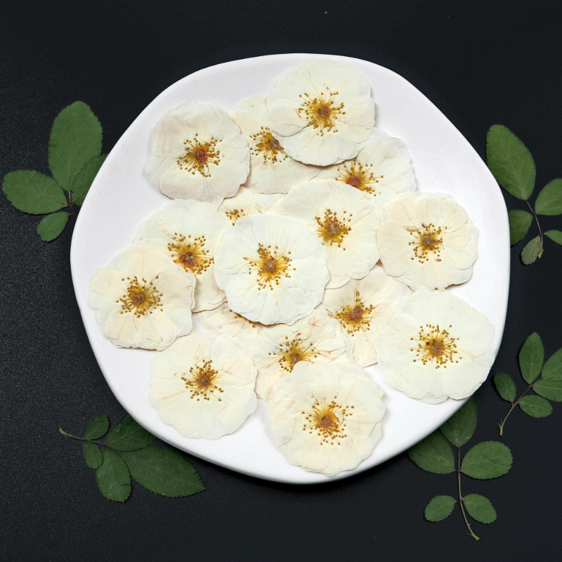 6pcs,9pcs,Nature White Rose Pr - Dried Flower Bulk 评论和价格