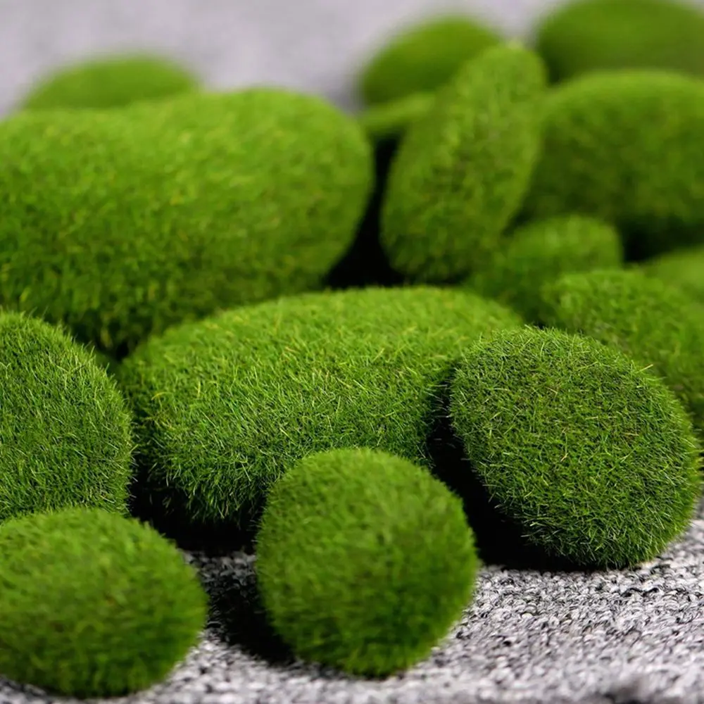Floral Arrangements Fake Stone - Terrarium Moss Art 评论和价格