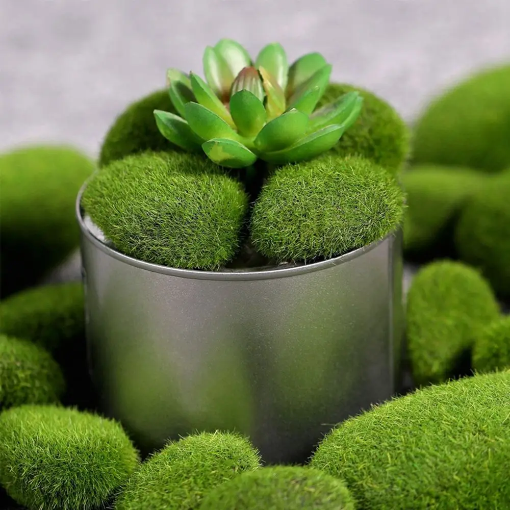 Floral Arrangements Fake Stone - Terrarium Moss Art 评论和价格