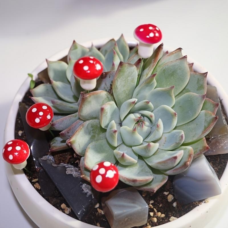 10-80PCS Mini Color Mushroom D - Terrarium Moss Art 评论和价格