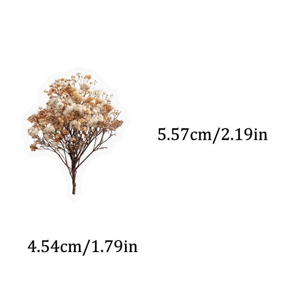50PCS Retro Color Dried Flower - Dried Flower Bulk 评论和价格
