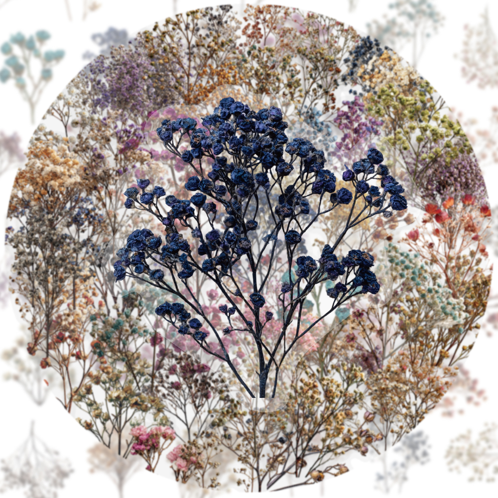 50PCS Retro Color Dried Flower - Dried Flower Bulk 评论和价格
