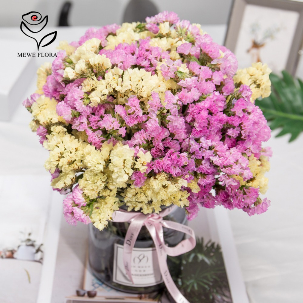 100g Dried Forget Me Not Flowe - Dried Flower Bulk 评论和价格