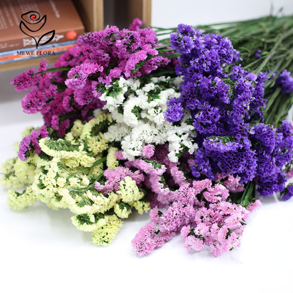 100g Dried Forget Me Not Flowe - Dried Flower Bulk 评论和价格