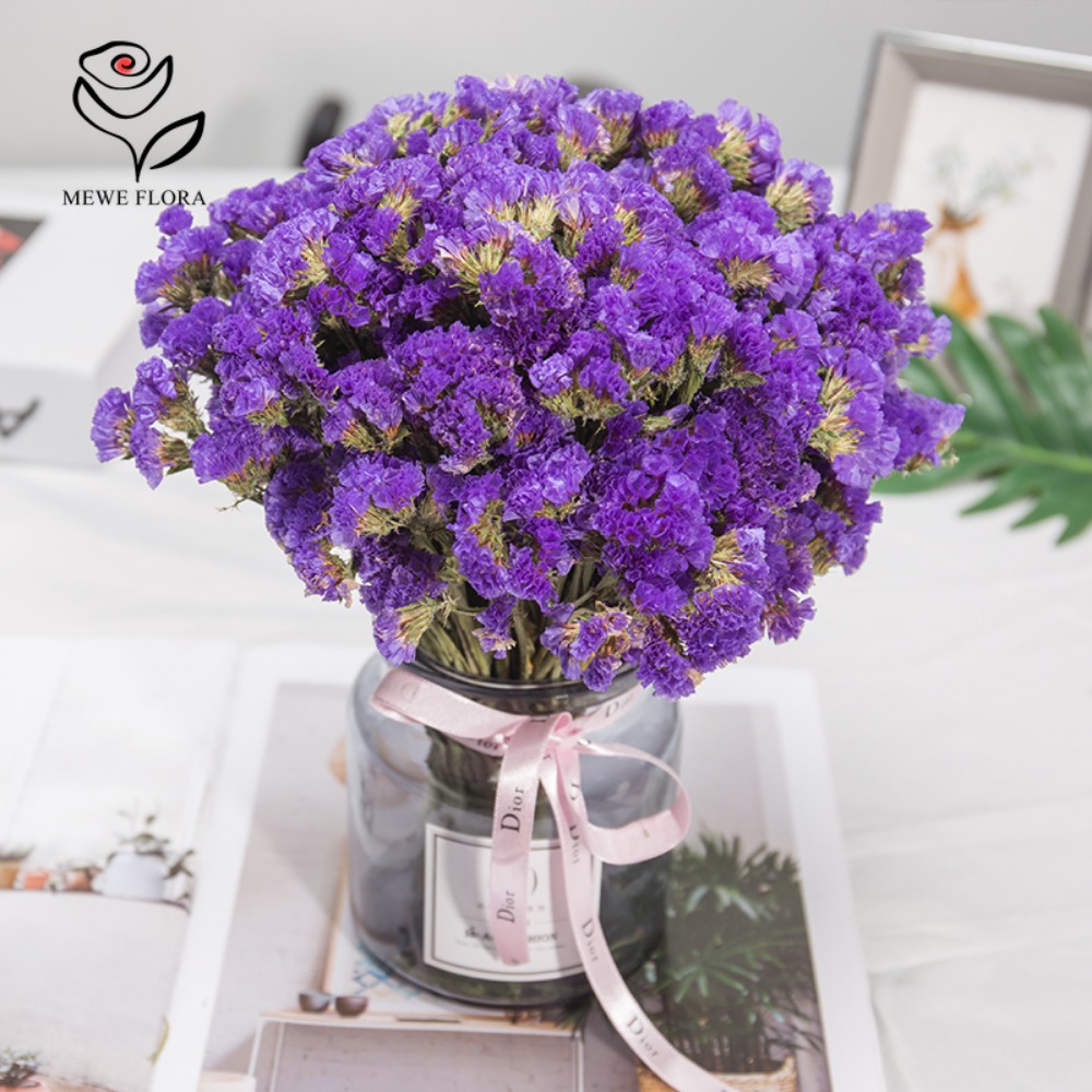 100g Dried Forget Me Not Flowe - Dried Flower Bulk 评论和价格