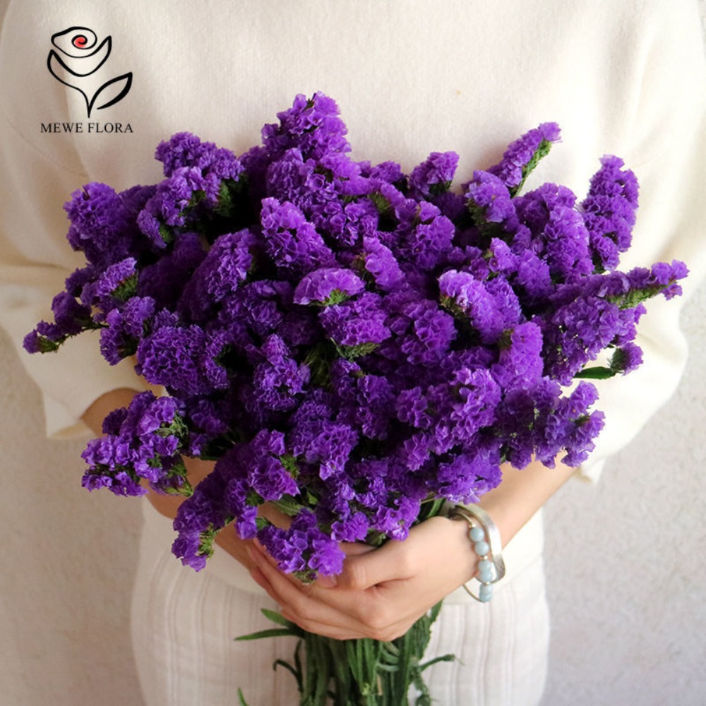 100g Dried Forget Me Not Flowe - Dried Flower Bulk 评论和价格