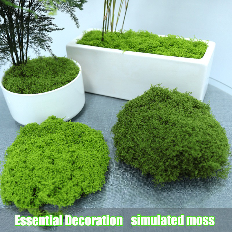 Artificial simulation of moss  - Terrarium Moss Art 评论和价格