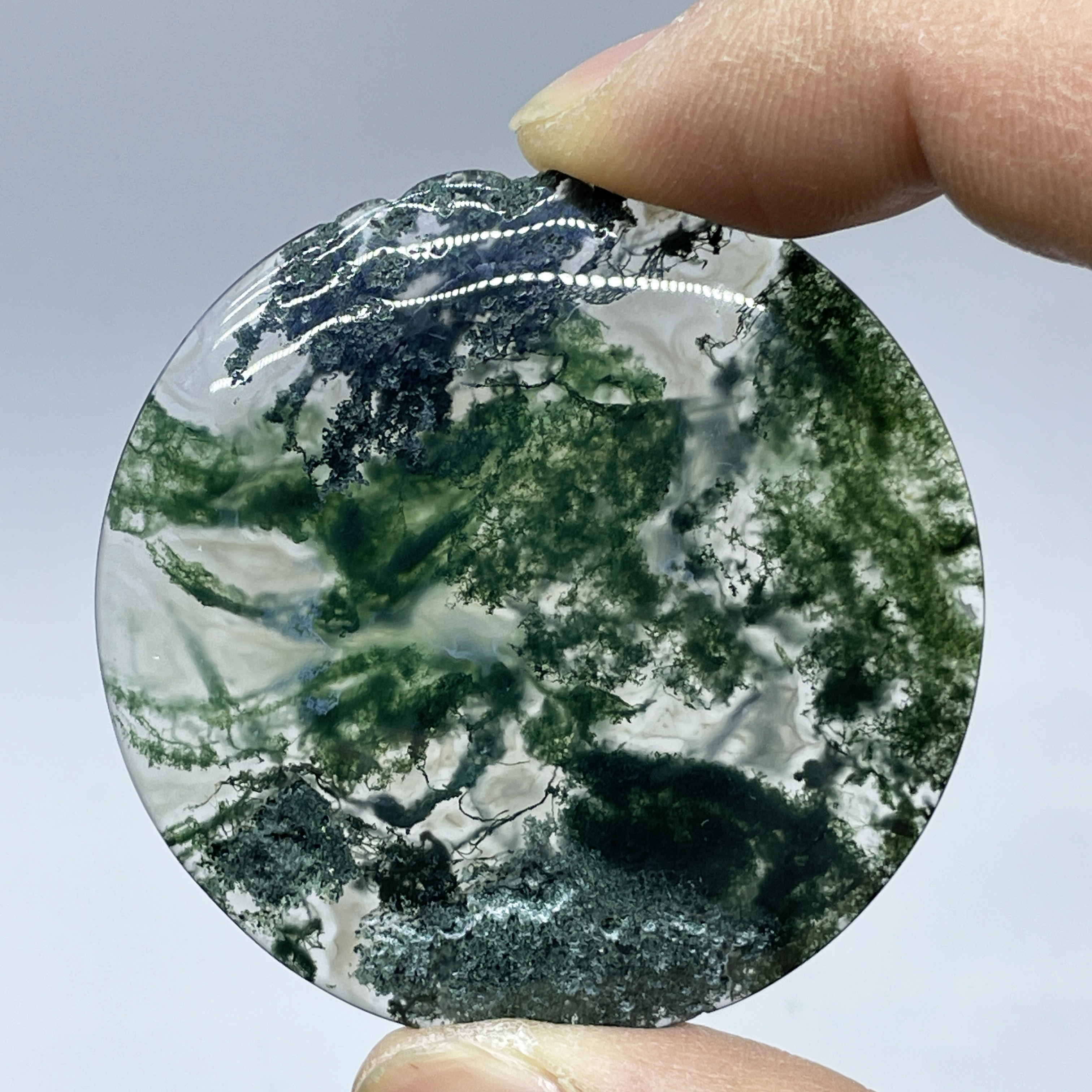 Natural Crystal Moss Agate Wat - Terrarium Moss Art 评论和价格