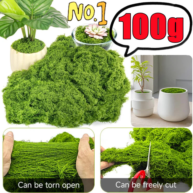30/50/100g Fake Green Moss Art - Terrarium Moss Art 评论和价格