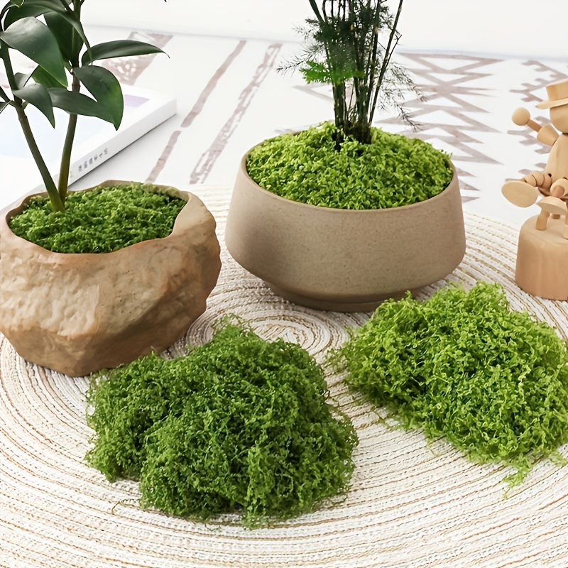 30/50/100g Fake Green Moss Art - Terrarium Moss Art 评论和价格