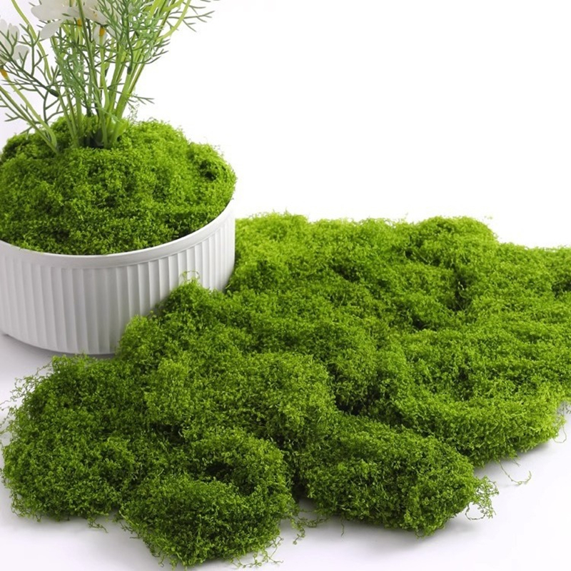 30/50/100g Fake Green Moss Art - Terrarium Moss Art 评论和价格
