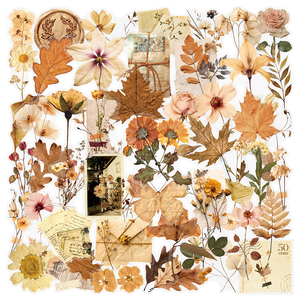 10/30/50pcs Transparent Dried  - Dried Flower Bulk 评论和价格