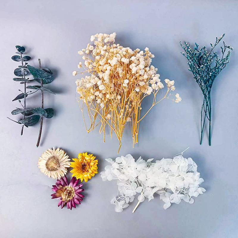 1pack Multifarious Dried Flowe - Dried Flower Bulk 评论和价格
