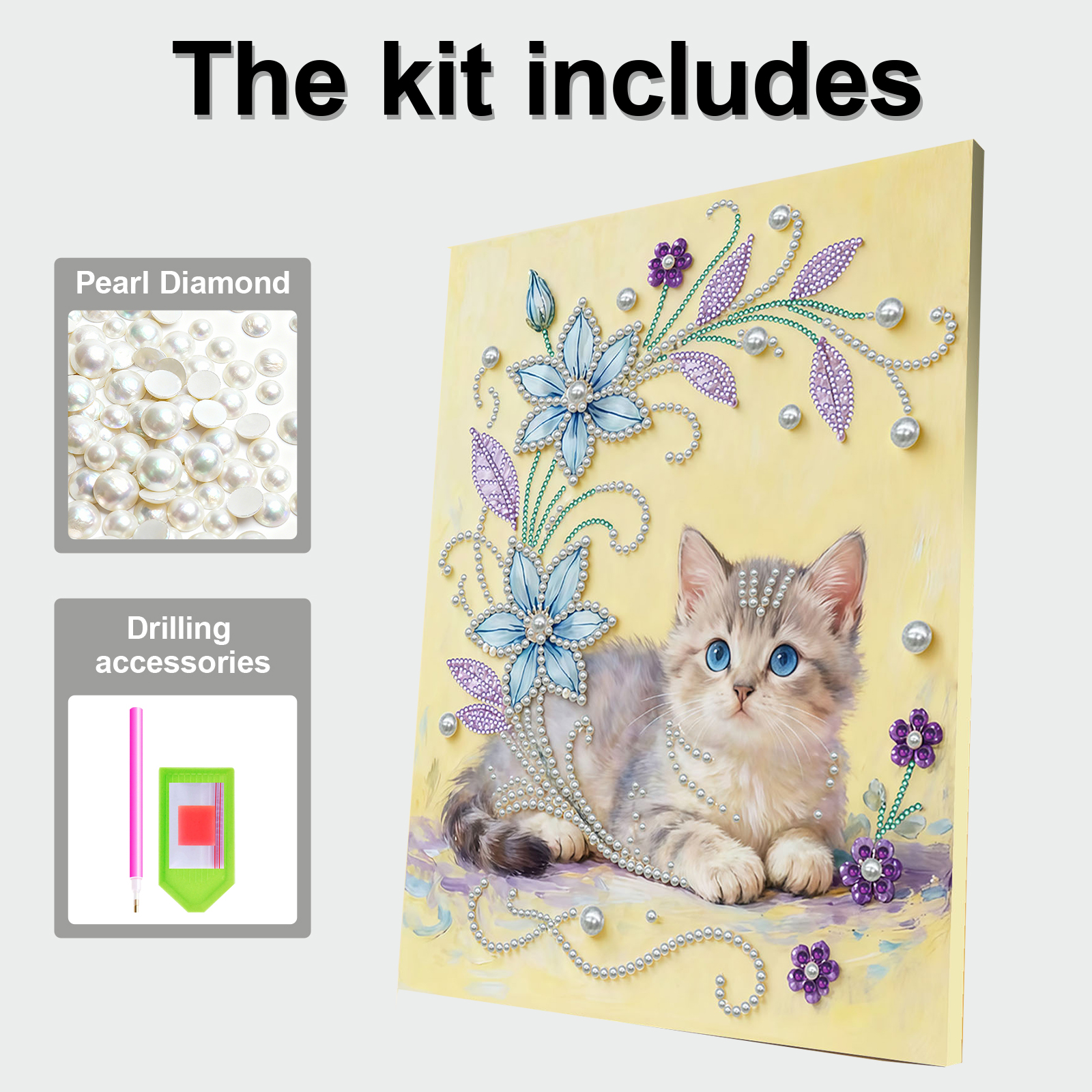 DIY Pearl Art Painting for Adu - Resin Craft For Beginners 评论和价格